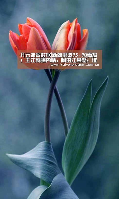 开云体育官网