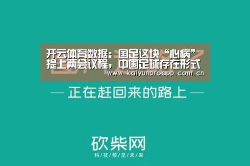 开云体育数据:国足这块“心病”提上两会议程,中国足球存在形式主义,急功近利(图2) 开云体育数据