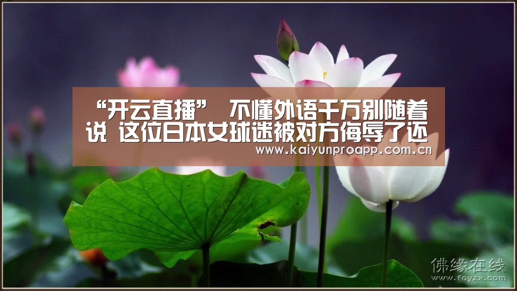 “开云直播”
不懂外语千万别随着说 这位日本女球迷被对方侮辱了还笑嘻嘻(图1) 开云直播