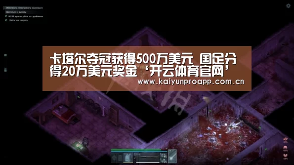 开云体育官网